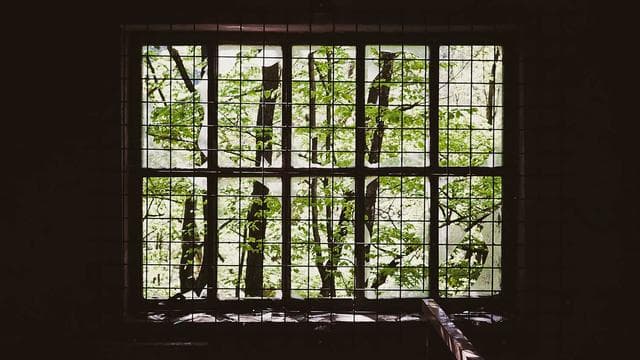 海外华人春节回国 vlog · 飞 14 小时只为这碗面